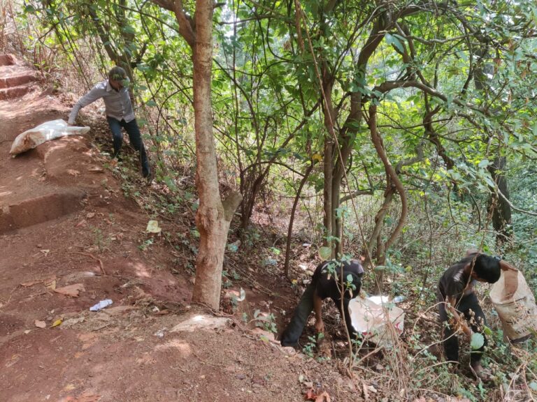 पाचगणीत केव्ह कर्मचाऱ्यांचे स्तुत्य श्रमदान; ब्रिटिशकालीन पायवाटेसह प्राचीन गुहांचा परिसर केला प्लास्टिकमुक्त!