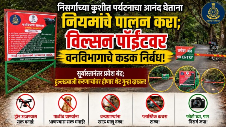 निसर्गाच्या कुशीत पर्यटनाचा आनंद घेताना नियमांचे पालन करा; विल्सन पॉईंटवर वनविभागाचे कडक निर्बंध!