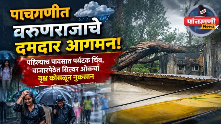 पाचगणीत वरुणराजाचे दमदार आगमन; पहिल्याच पावसात पर्यटक चिंब, बाजारपेठेत वृक्ष कोसळून नुकसान