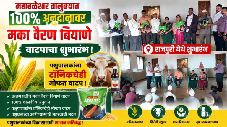 महाबळेश्वर तालुक्यात १००% अनुदानावर मका वैरण बियाणे वाटपाचा शुभारंभ; पशुपालकांना टॉनिकचेही मोफत वाटप!