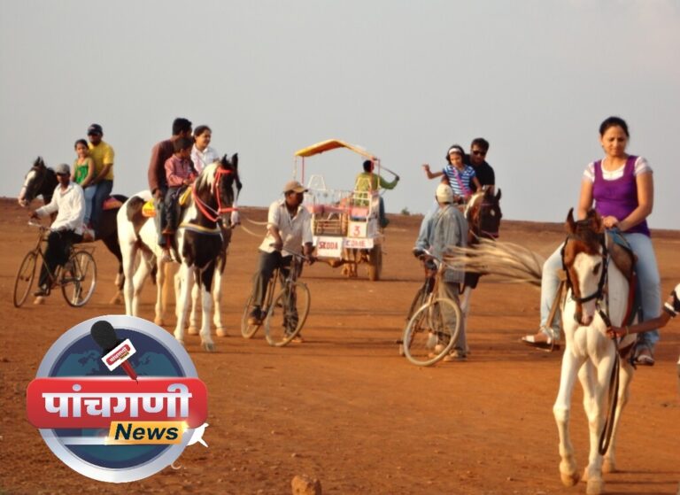 हायकोर्टाच्या आदेशाचा अवमान केल्यास थेट गुन्हा; पाचगणी टेबललँडवर घोडे, घोडागाडी बंदीची कडक अंमलबजावणी!