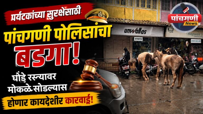 पर्यटकांच्या सुरक्षेसाठी पांचगणी पोलिसांचा बडगा; घोडे रस्त्यावर मोकळे सोडल्यास होणार कायदेशीर कारवाई!