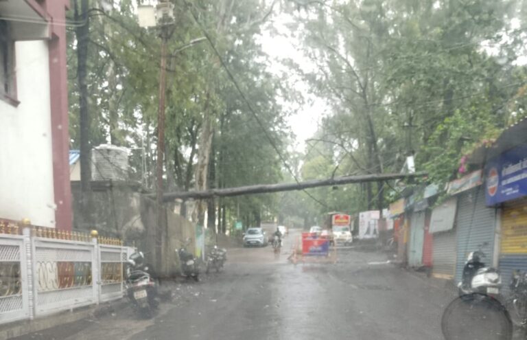 पाचगणीत मुसळधार पावसाचा तडाखा; टेबल लँड नाक्यावर झाड कोसळले, सुदैवाने मोठी दुर्घटना टळली!