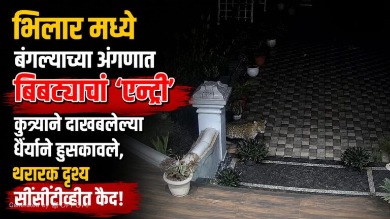 दारातच आला ‘वनराज’! पुस्तकांच्या भिलारमध्ये बिबट्याची डरकाळी; जननीमाता परिसरात उडाली प्रचंड खळबळ