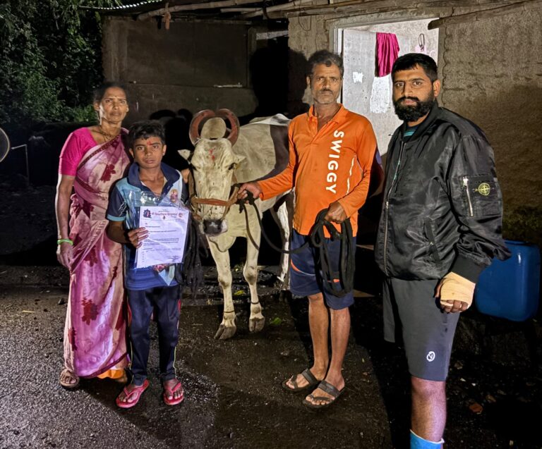 देशी गोवंश कत्तलीला देण्यापेक्षा गोशाळेत दान करा; श्री शिवप्रतिष्ठान हिंदुस्थानच्या धारकऱ्यांचा स्तुत्य पुढाकार! वेळे येथील ‘करुणा मंदिर’मध्ये गोवंश सुपूर्द
