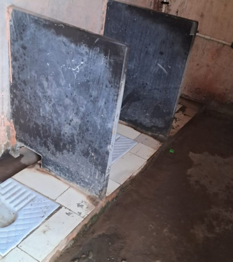 शाळांमधील अस्वच्छतेचे वास्तव: जावळीत ‘स्वच्छ शाळा’ अभियानाचा फुसका बार; लाखो रुपये खर्चूनही विद्यार्थ्यांची कोंडी