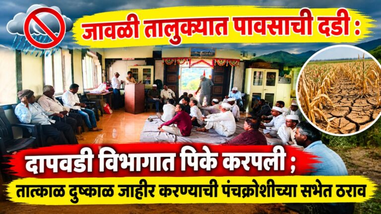 जावळी तालुक्यात पावसाची दडी : दापवडी विभागात पिके करपु लागली ; तात्काळ दुष्काळ जाहीर करण्याची पंचक्रोशीच्या सभेत ठराव