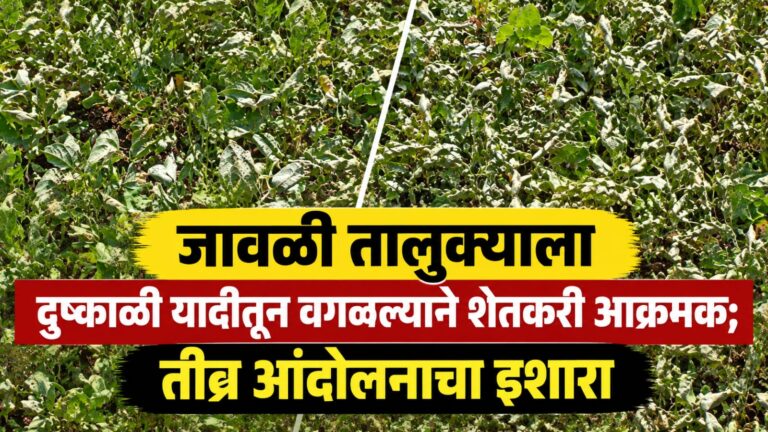 जावळी तालुक्याला दुष्काळी यादीतून वगळल्याने शेतकरी आक्रमक; तीव्र आंदोलनाचा इशारा