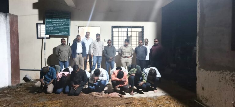 वाईत मद्यप्यांचा उपद्रव मोडून काढण्यासाठी ‘स्पेशल ड्राईव्ह’; १२ जणांना घेतले ताब्यात, वाई पोलिसांची धडक कारवाई