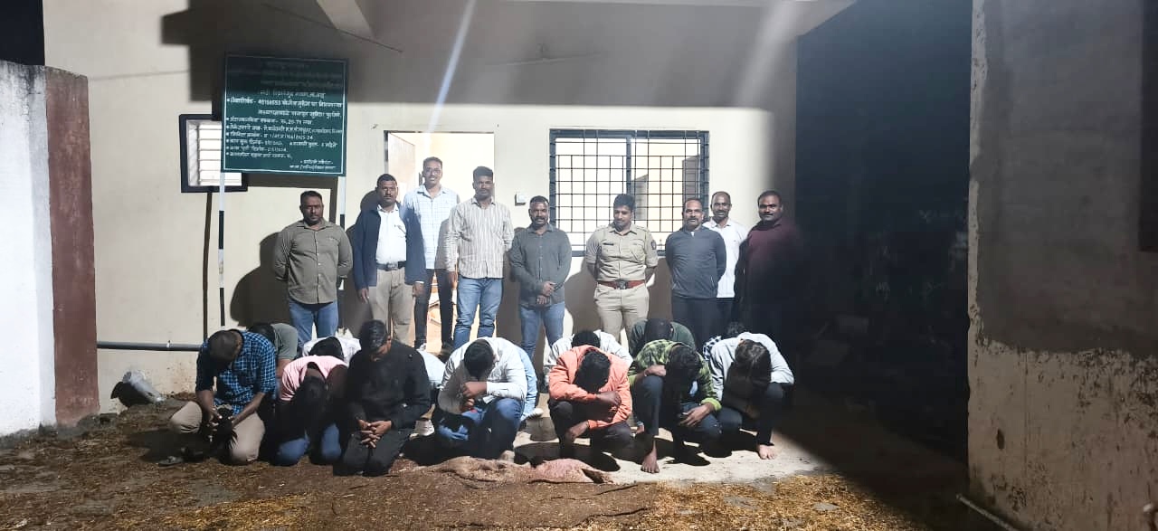 वाईत मद्यप्यांचा उपद्रव मोडून काढण्यासाठी ‘स्पेशल ड्राईव्ह’; १२ जणांना घेतले ताब्यात, वाई पोलिसांची धडक कारवाई