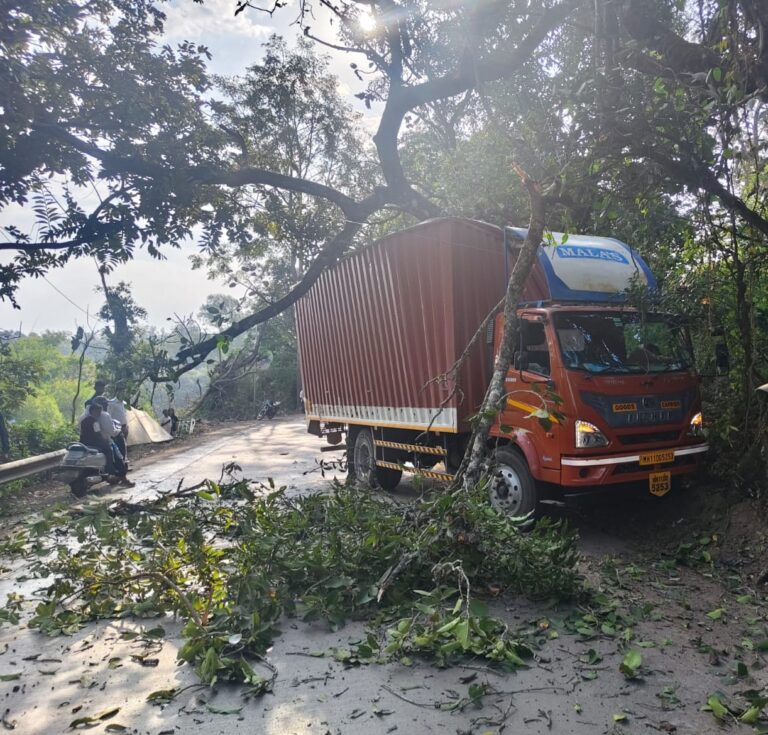 पाचगणीत धोकादायक वळणावर ट्रकचा अपघात; सुदैवाने जीवितहानी टळली