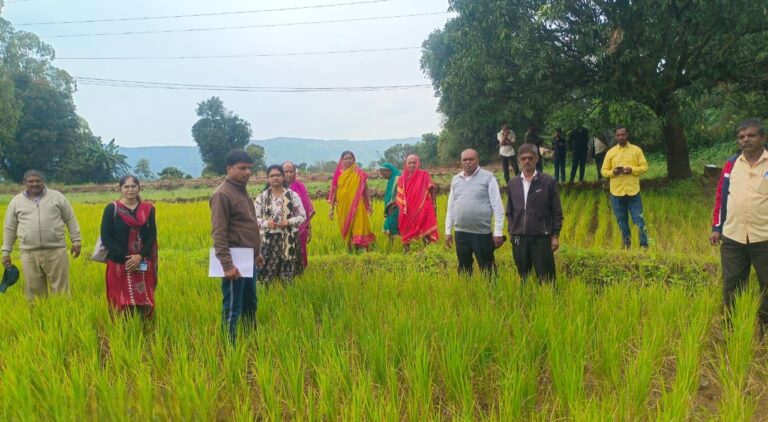 महाबळेश्वर तालुक्यात स्वतः तहसीलदार पीक पंचनाम्यासाठी ऑन द स्पॉट